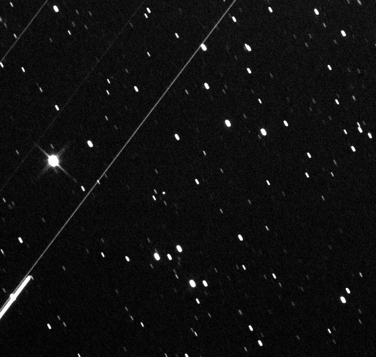Comet C/2018 C2 LEMMON