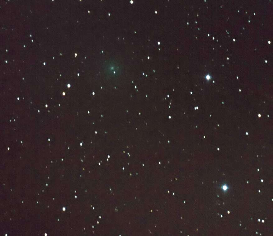 Comet 8P/Tuttle